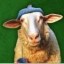 Sheep Wif Hat Icon