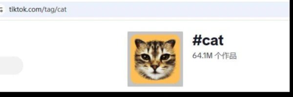 #cat Token Header