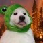 shirothebuddy Icon