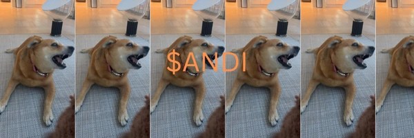 Zach Witkoffs Dog Token Header