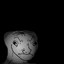 The Retard Icon