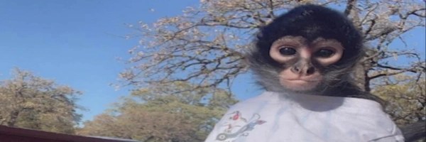 Justice For Abu Token Header