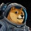 DOGE-1 Satellite Icon