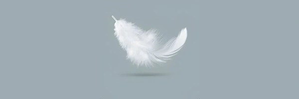White Feather Movement Token Header