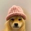 taylor swif Icon
