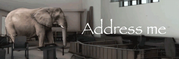 The Elephant in The Room Token Header
