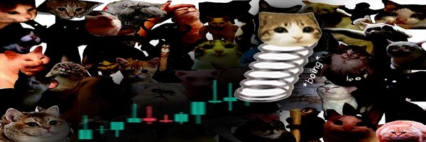 boing cat Token Header