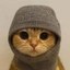 Sock and Pussy 500 Icon