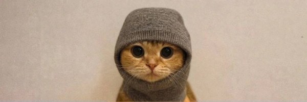 Sock and Pussy 500 Token Header