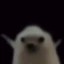low quality hedgehog Icon