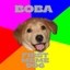 First Meme Dog Icon