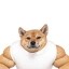 bigdog Icon