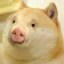 Pogecoin Icon