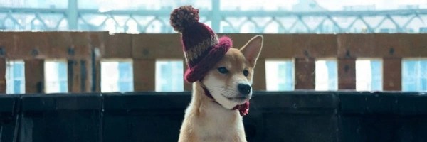 dogwifhat2.0 Token Header