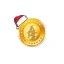 XmasCoin Icon