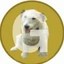 Georgecoin Icon