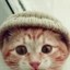 catwifhat Icon