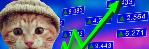 catwifhat Token Header