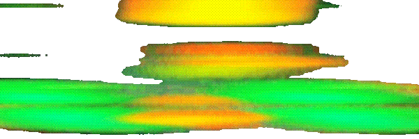 Mystery Box Token Header