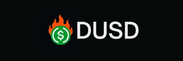 Deflationary USD Token Header