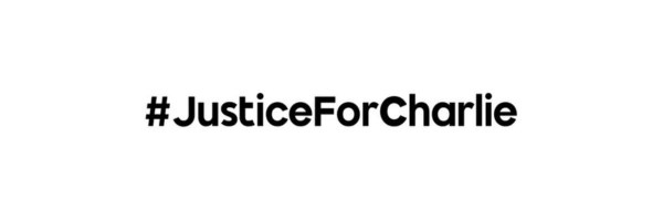 Justice For Charlie Token Header