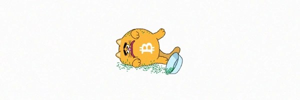 here comes bitcoin cat Token Header