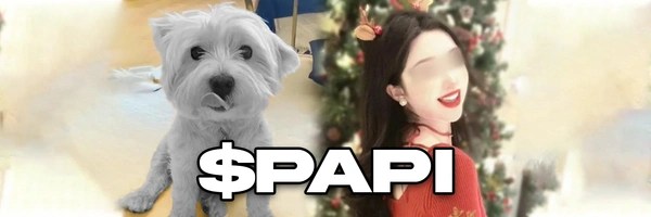 Justice for Papi Token Header