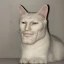 GigaCat Icon
