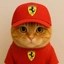 Furrari Icon