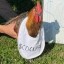 CockPay Icon