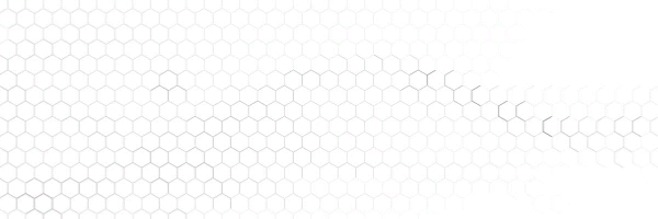 RUG PROTECT Token Header