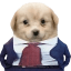 CEO Icon