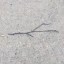 random stick Icon