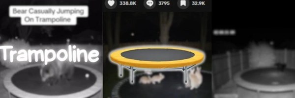 Trampoline Token Header