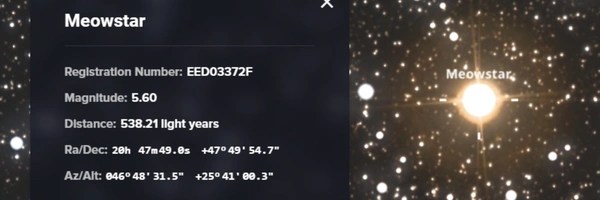 Meowstar Token Header