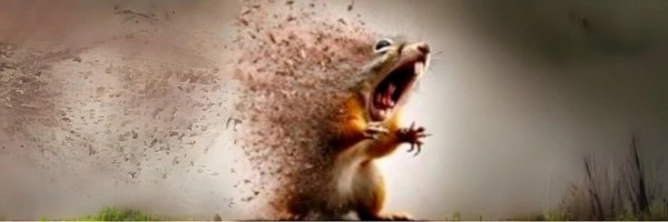 Evaporating Squirrel Token Header