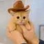 fred the kitty Icon