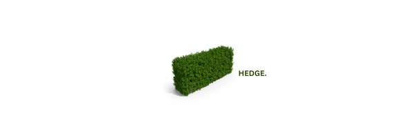 Hedge  Token Header