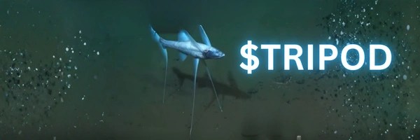 Soldier Boy Token Header