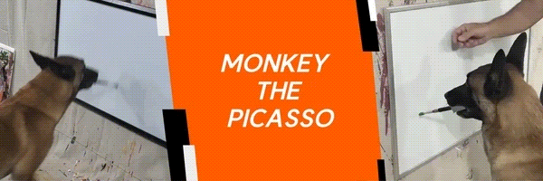 Monkey The Picasso Token Header