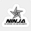 No Income No Job/Assets Icon