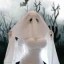 boo-bies Icon
