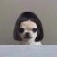 dogwifwig Icon