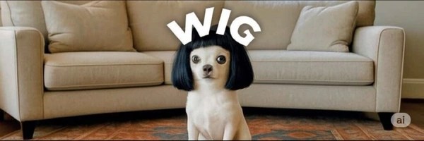 dogwifwig Token Header