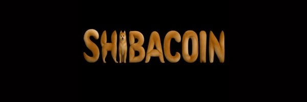 SHIBACOIN Token Header