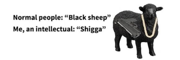The Black Sheep Token Header