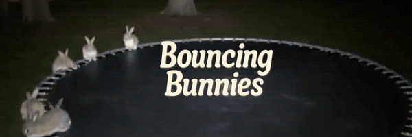 Bouncing Bunnies Token Header