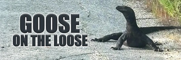 On the loose Token Header