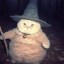 the Wizard Cat Icon