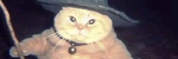 the Wizard Cat Token Header